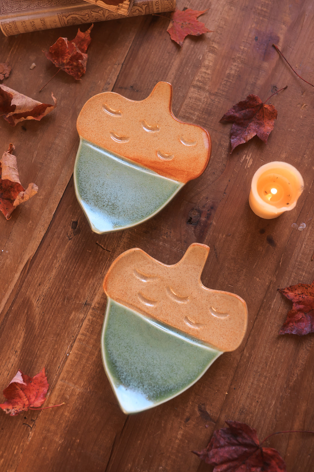 Pair of Autumn Forest Acorn Dishes in Porcelain