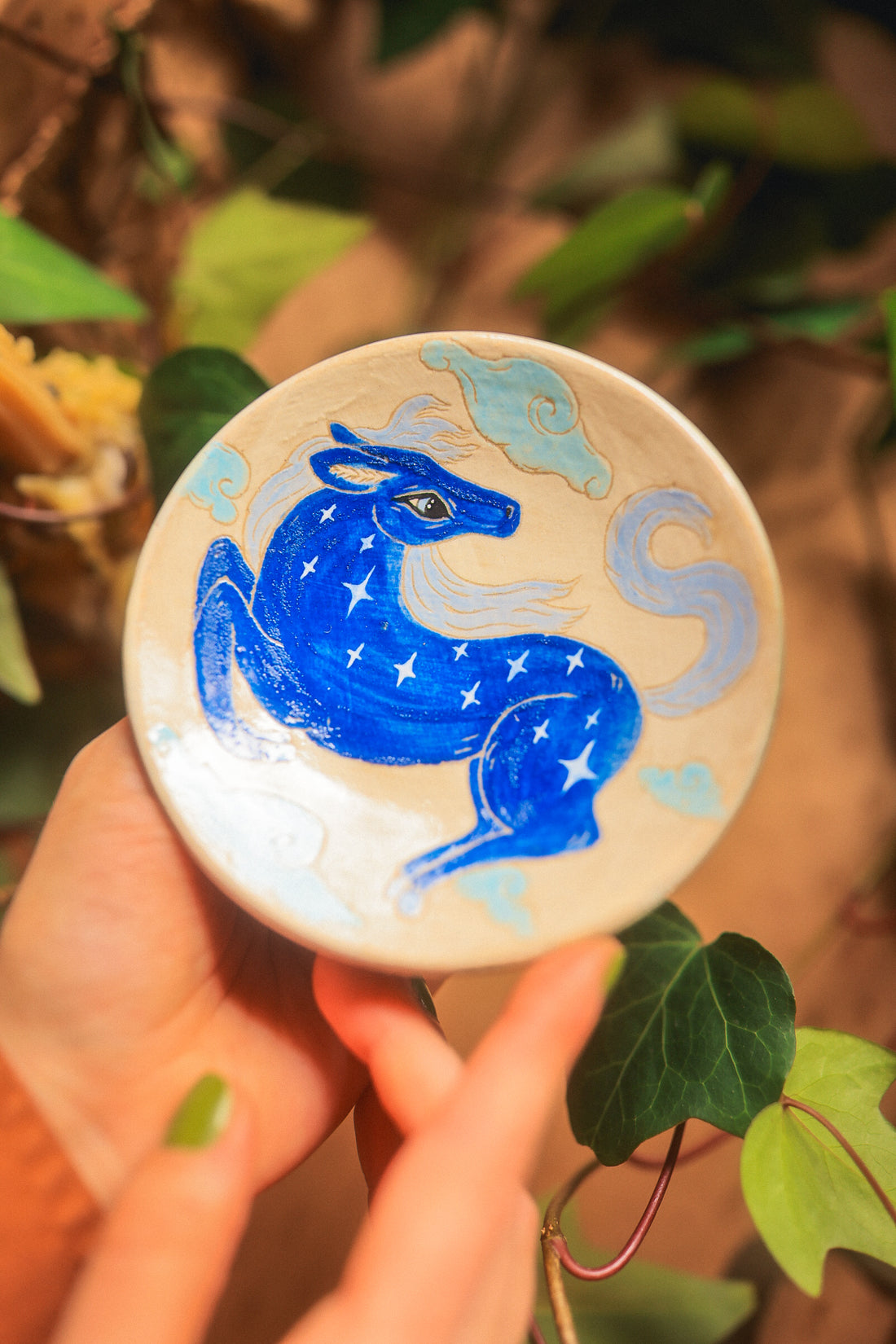 Little Starry Blue Pony Dish
